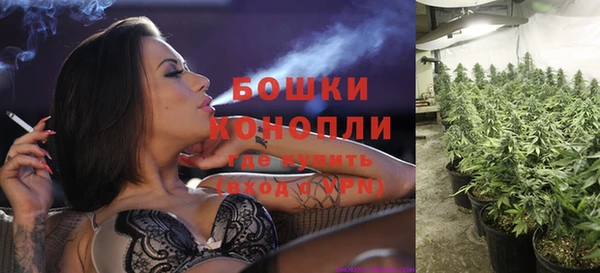 кокс Кинешма
